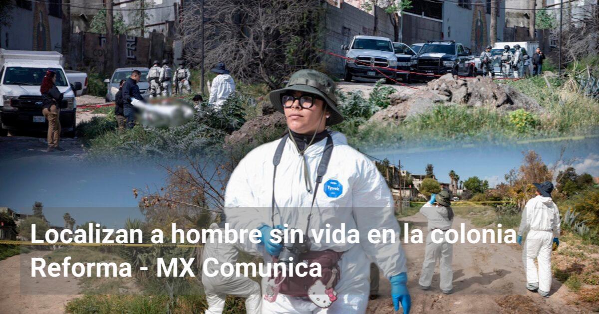 Localizan a hombre sin vida en la colonia Reforma - MX Comunica